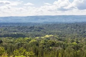 Kakamega Forest National Reserve