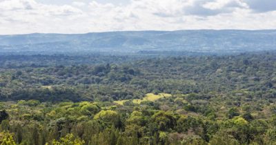 Kakamega Forest National Reserve