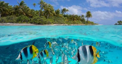 Kiunga Marine National Reserve