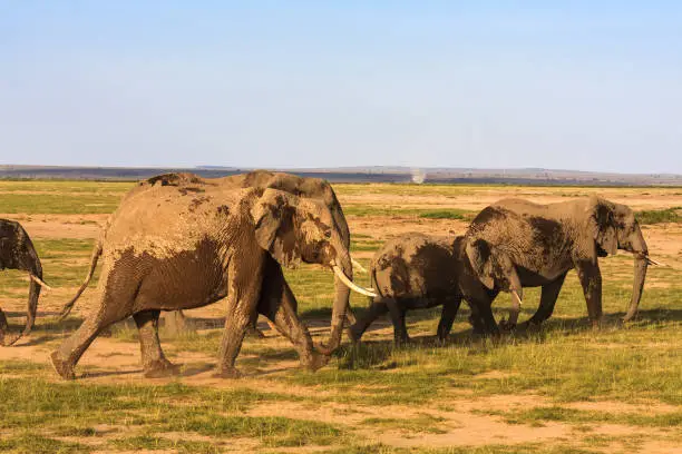 Kora National Park