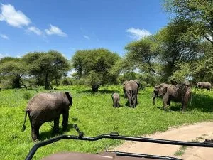 Visiting Masai Mara in April