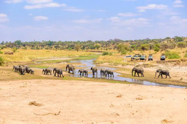 Visiting Masai Mara in August