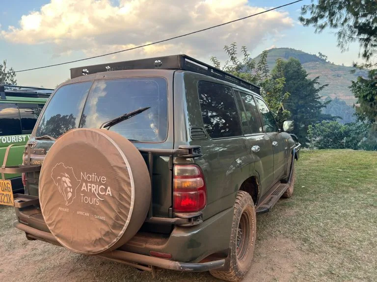 Trusted Gorilla Trekking Company in Uganda