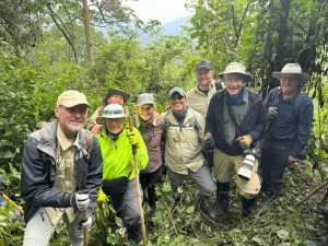 Gorilla trekking group with ranger guide in Bwindi National Park, Uganda, during October