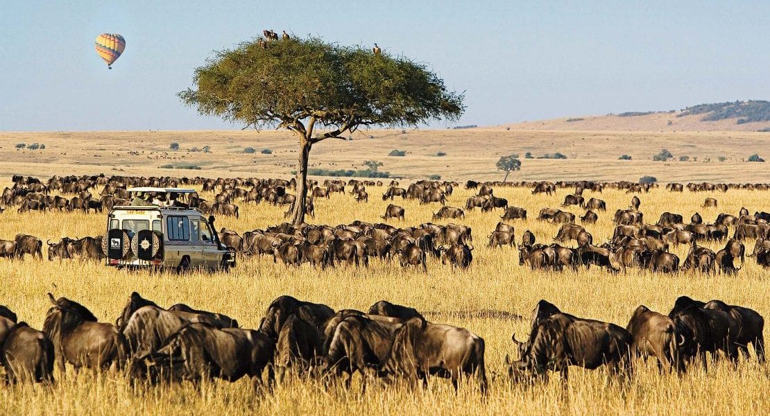 Tourists on a game drive spotting wildlife while visiting Masai Mara in December