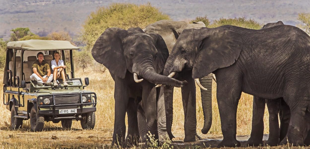 Two tourists in an open safari jeep watching elephants in Kenya during an October safari with Native Africa Tours