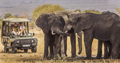 Two tourists in an open safari jeep watching elephants in Kenya during an October safari with Native Africa Tours