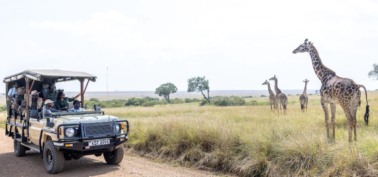 Tourists on safari watching Giraffes while visiting Masai Mara in Kenya during December with Native Africa Tours