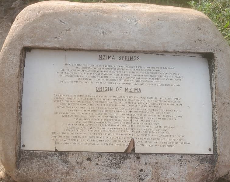 Mzima Springs in Tsavo West