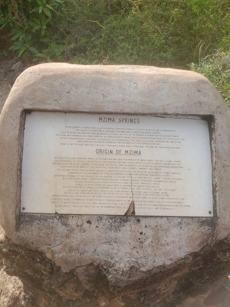 Mzima Springs in Tsavo West