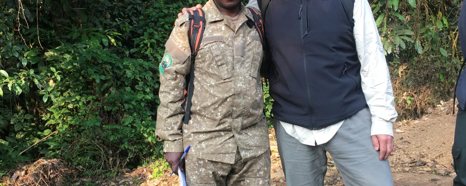 Tourist on budget gorilla trekking safari in Bwindi Uganda