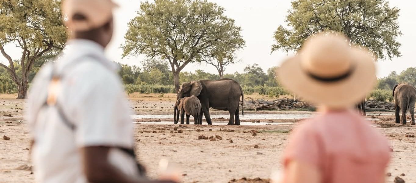 Elephants in Amboseli Kenya in July with Mount Kilimanjaro view