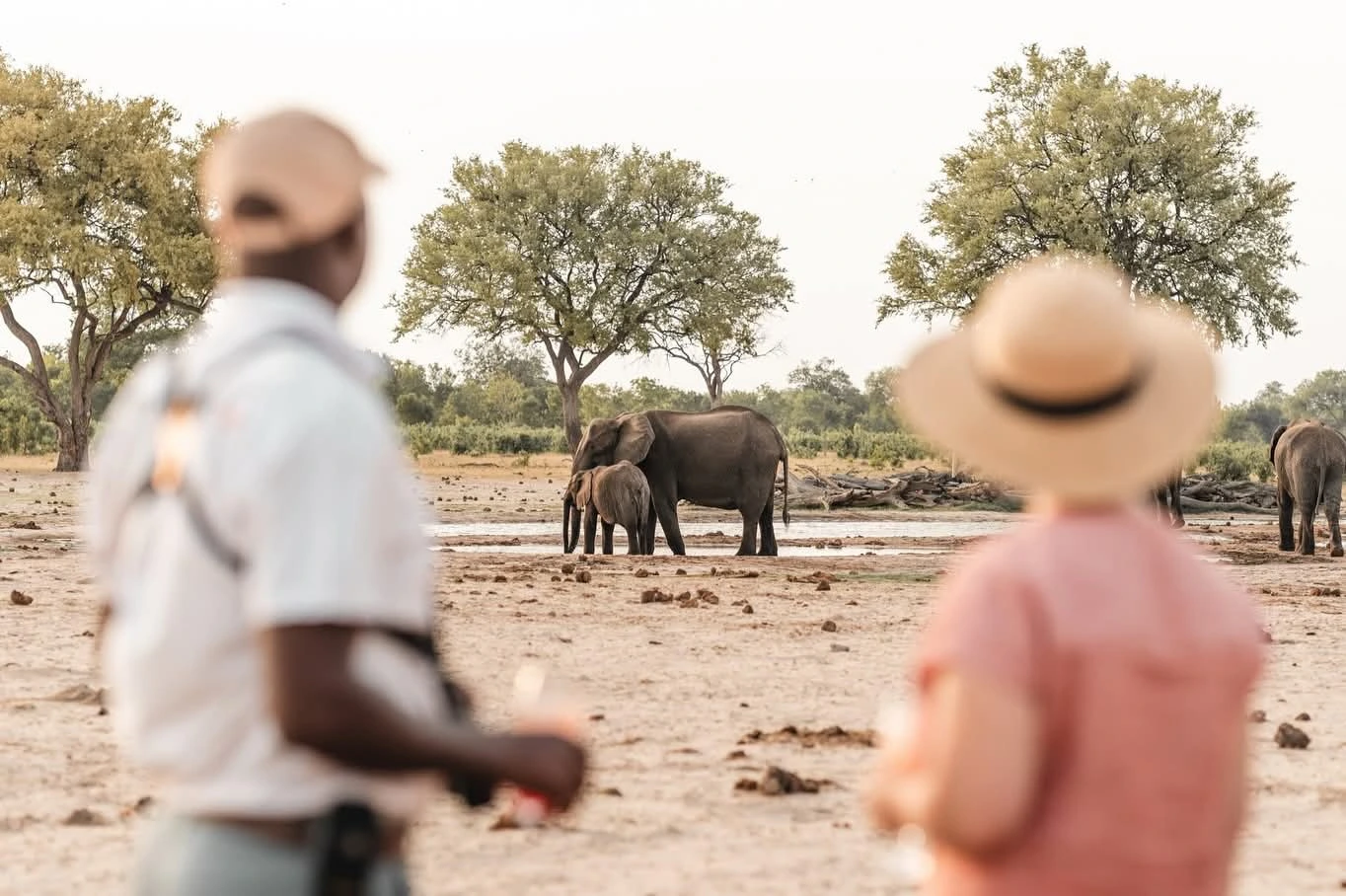 Elephants in Amboseli Kenya in July with Mount Kilimanjaro view