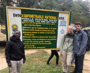 Uganda Bwindi gorilla trekking safari 2026 and 2027 experience