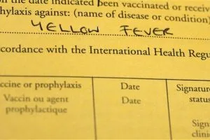 Vaccinations Gorilla Uganda
