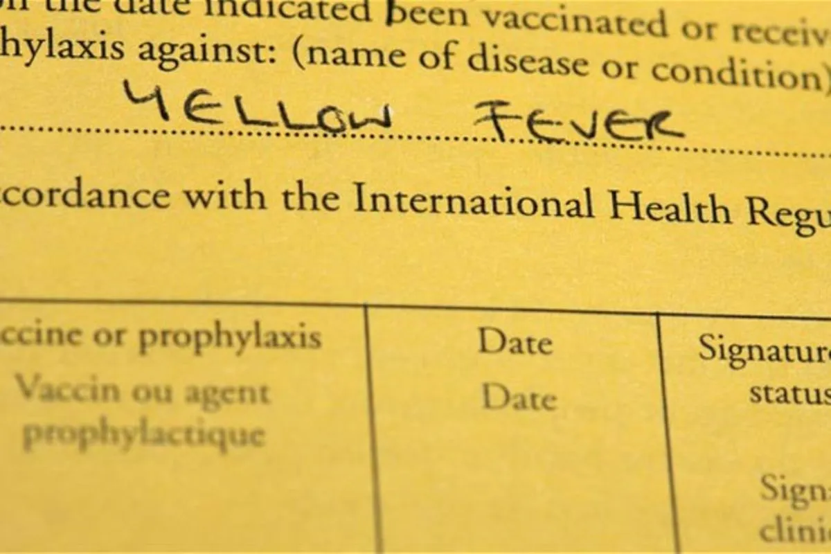 Vaccinations Gorilla Uganda