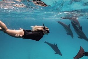 Swimming With Dolphins in Mombasa