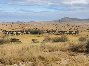 Taita Hills Wildlife Sanctuary