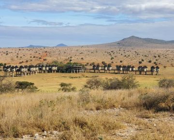 Taita Hills Wildlife Sanctuary