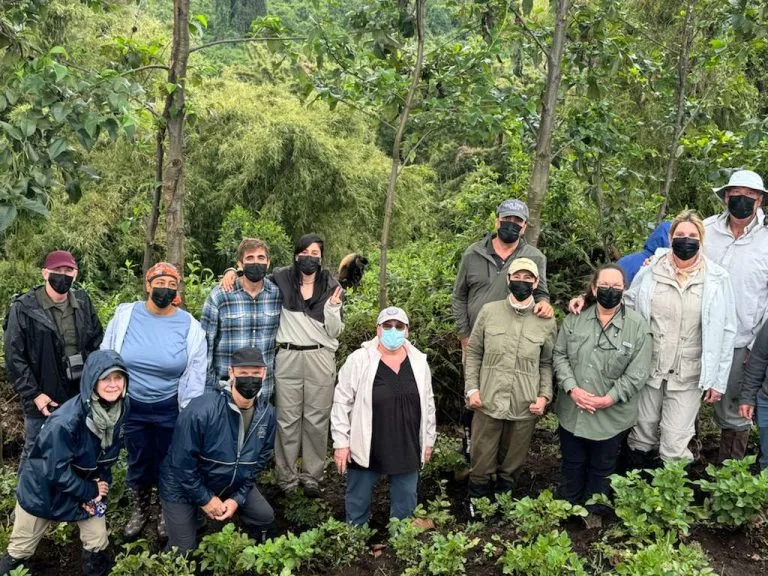 Discounted Rwanda Gorilla Tours