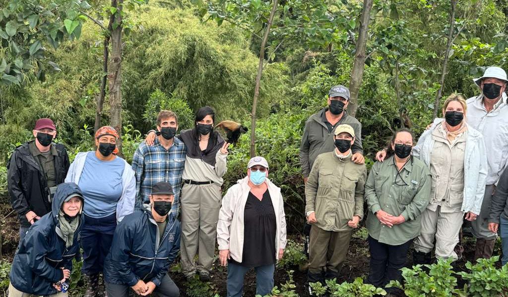 Older travelers assisted by guides during an easy gorilla trekking experience in Uganda with Native Africa Tours