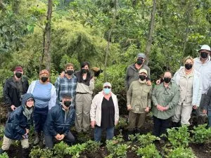Older travelers assisted by guides during an easy gorilla trekking experience in Uganda with Native Africa Tours