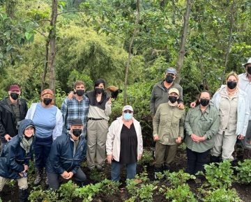 Older travelers assisted by guides during an easy gorilla trekking experience in Uganda with Native Africa Tours