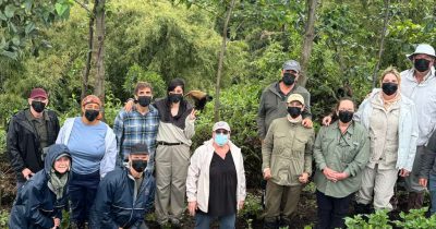 Older travelers assisted by guides during an easy gorilla trekking experience in Uganda with Native Africa Tours