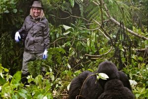 Tourist trekking gorillas in the rain season