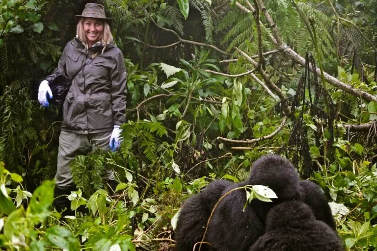Tourist trekking gorillas in the rain season