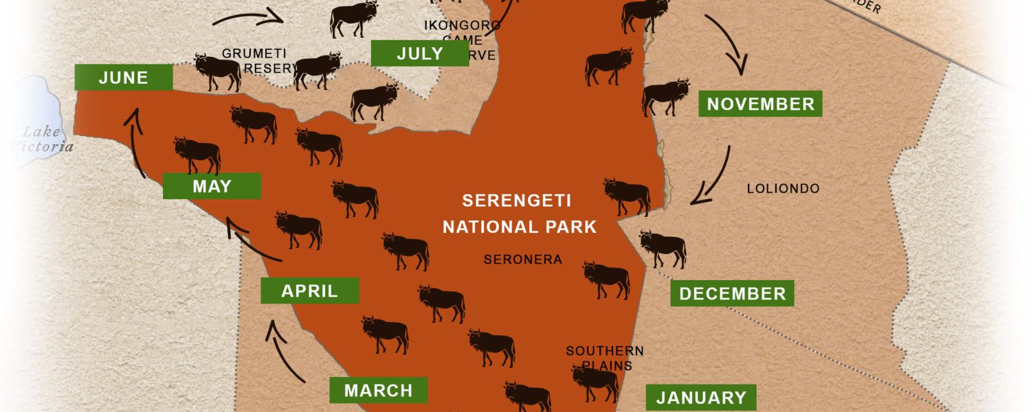 Wildebeest Migration Map