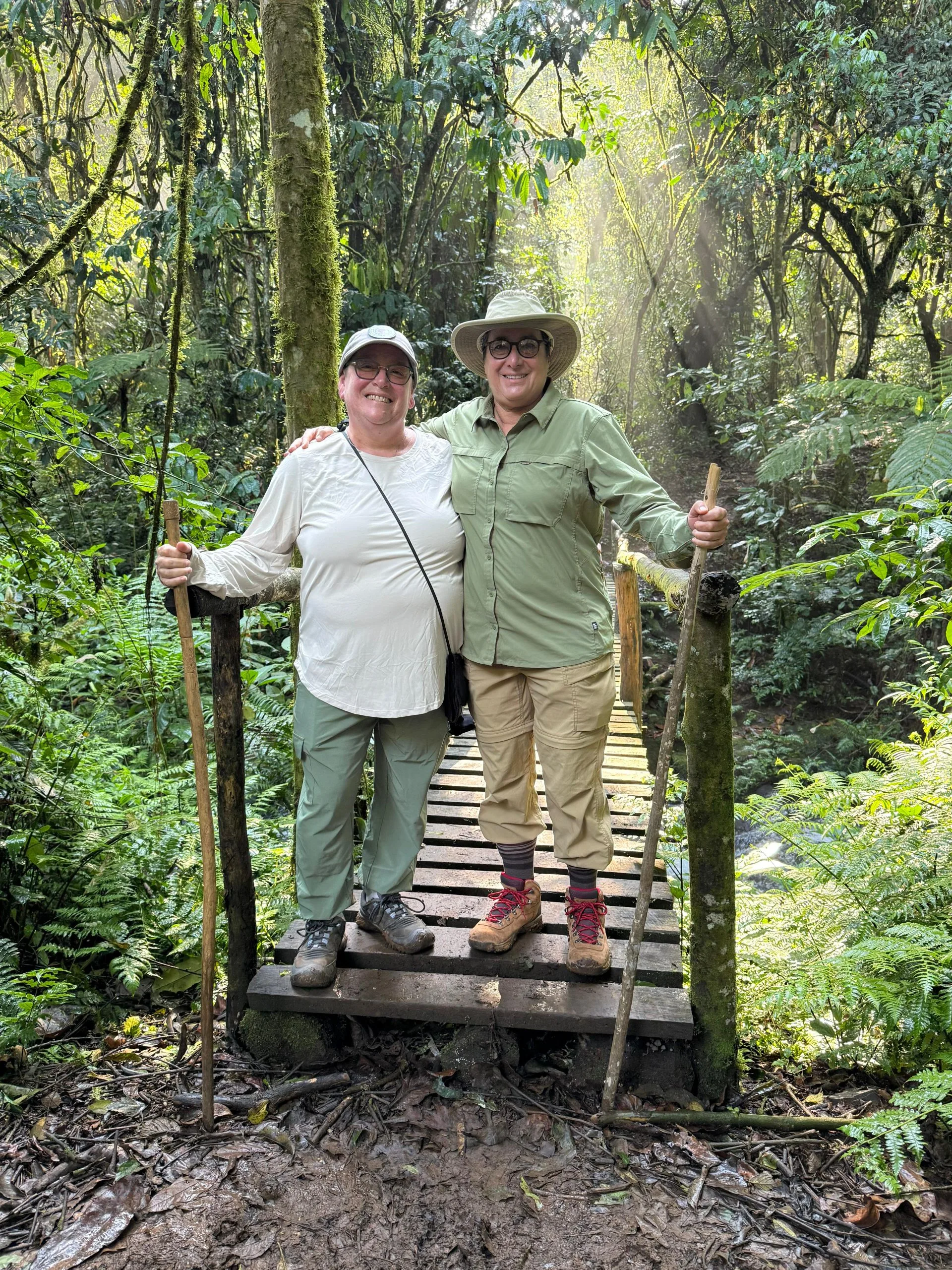 Short Mountain Gorilla Tours