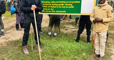Tourists on a gorilla tracking safari in Uganda
