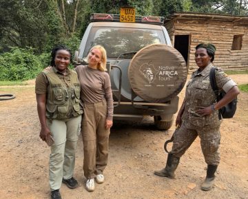 Explore the Gorillas Wildlife and Kyambura Chimpanzee Trek in Uganda. Experience unforgettable wildlife encounters and landscapes.