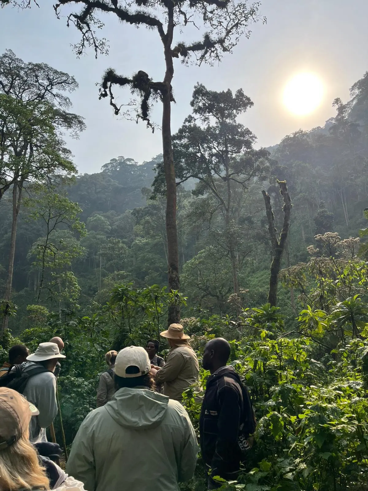 Bwindi Gorilla Trekking in August