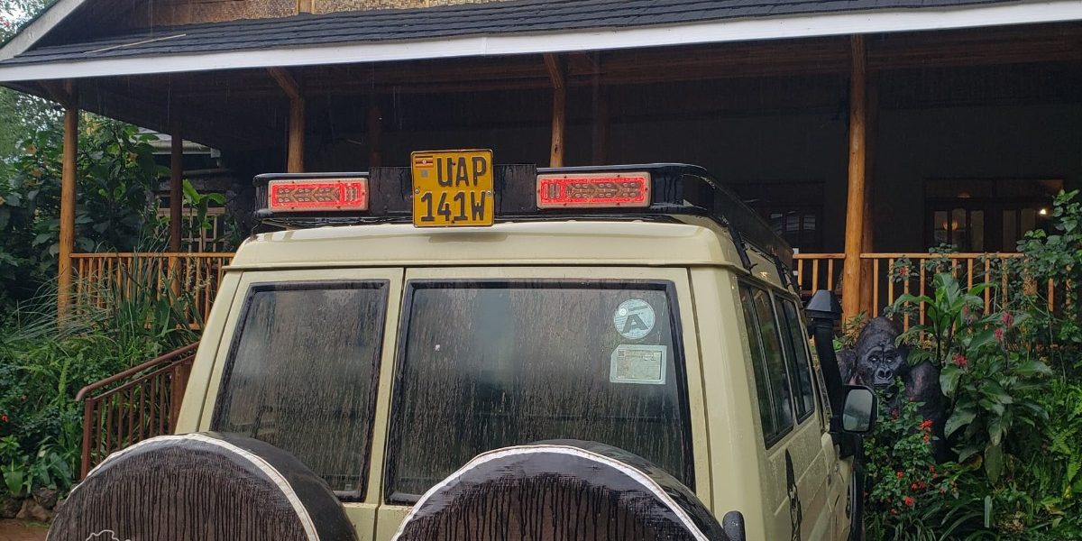 Bwindi Gorilla Trekking in March