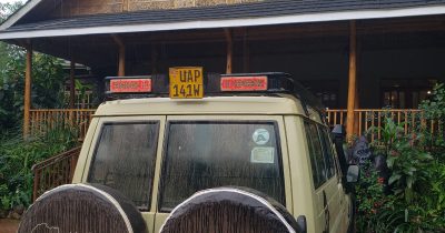 Bwindi Gorilla Trekking in March