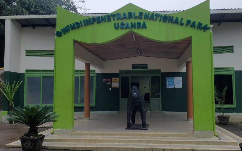 Comparing the Four Sectors of Bwindi