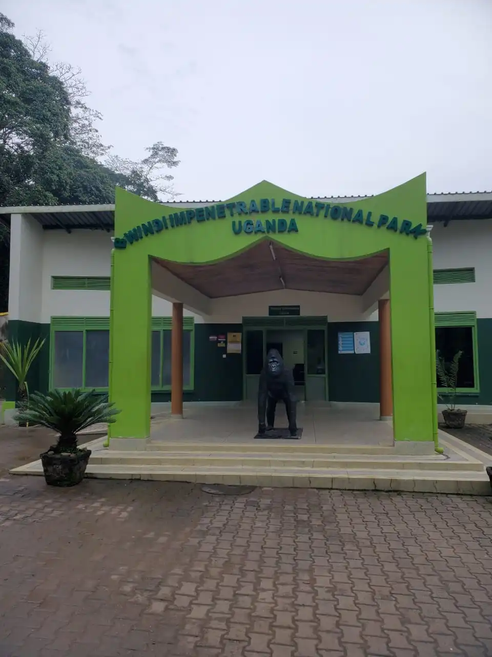 Comparing the Four Sectors of Bwindi