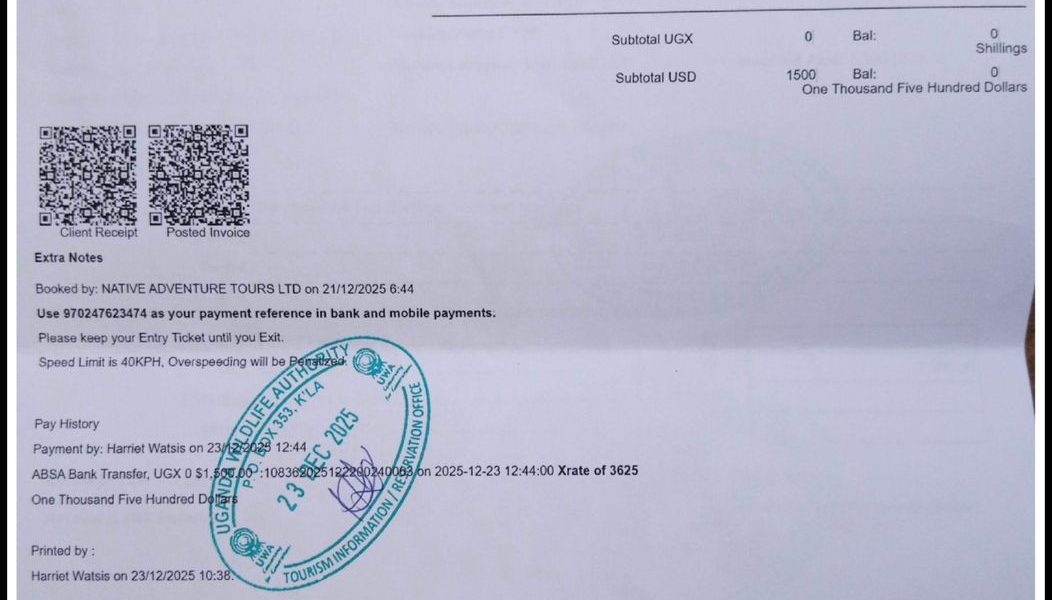 gorilla permit trends Uganda 2026