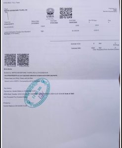 gorilla permit trends Uganda 2026