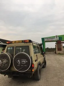 Choose Native Africa Tours For Gorilla Safaris