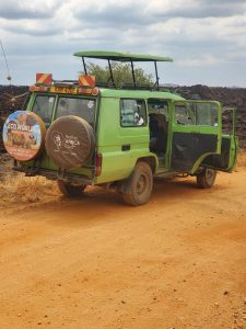 Best Safari Company Kenya