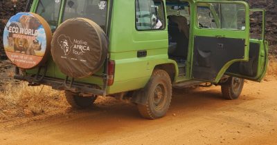 Best Safari Company Kenya