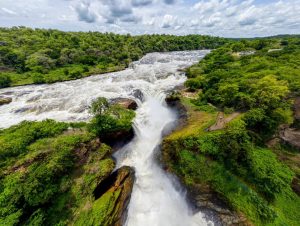 Most Beautiful National Parks in Uganda