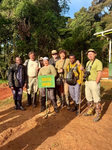 Gorilla Trekking Tourism Conservation in Uganda