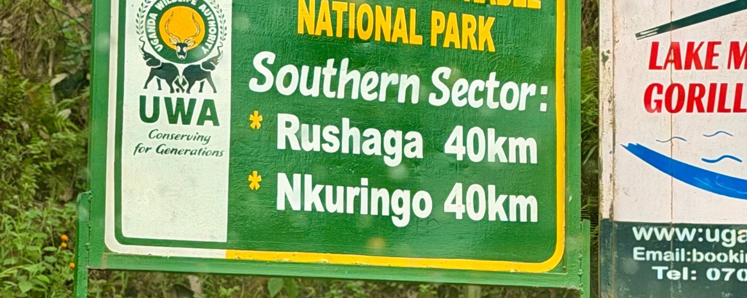 Best Sector Gorilla Trekking Bwindi