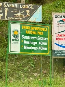 Best Sector Gorilla Trekking Bwindi