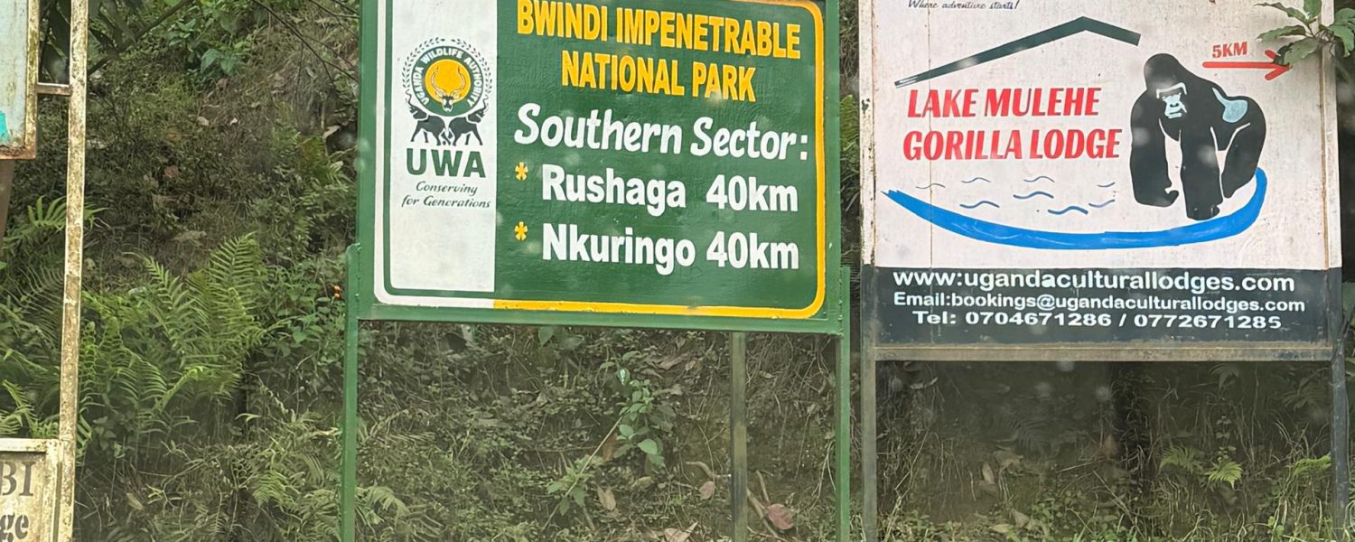 Lodges Gorilla Trekking Bwindi