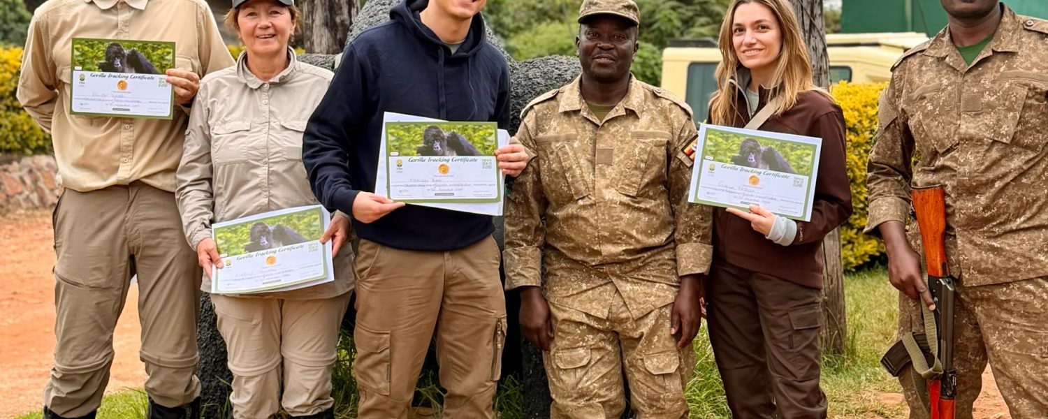 Hidden Costs to Know Before Your Gorilla Trekking in Uganda